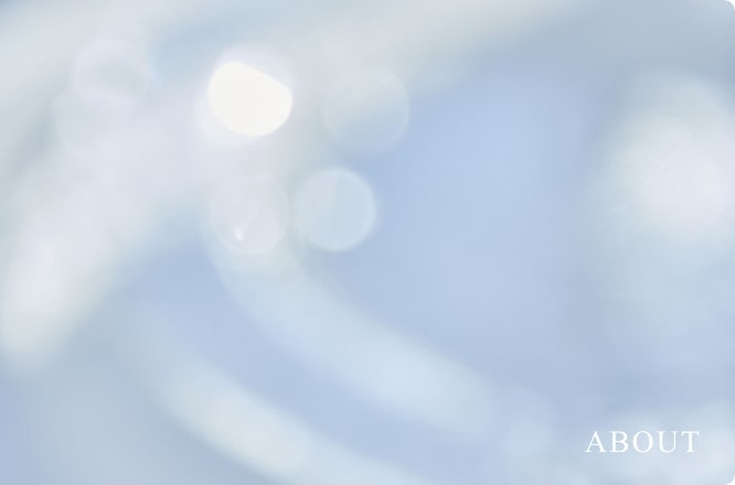 リンクボタン ABOUT