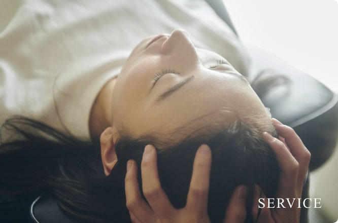 リンクボタン SERVICE